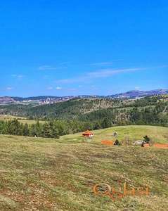 Ekskluzivna prodaja placeva na Zlatiboru