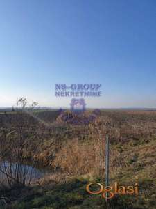 Odličan plac, Kać!