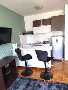 Novi Sad - pet friendly