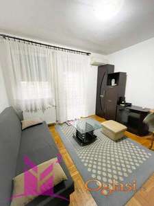 Novi Sad - pet friendly