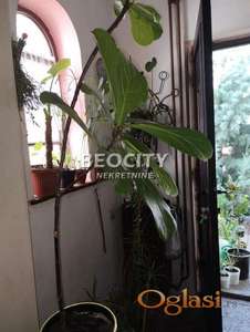 Novi Sad, Bulevar Oslobođenja, , 4.0, 160m2