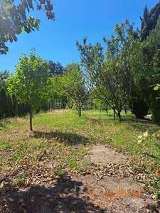 SREMSKA KAMENICA - ČARDAK - 1034.00 m2