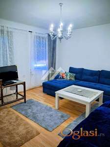 IZDAJE SE SPRAT KUCE NA TELEPU ID#4042