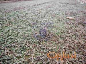 Odličan plac na Sajlovu