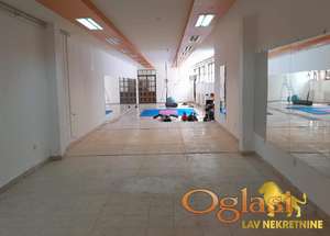 NOVI SAD - BULEVAR - 220.00 m2