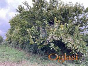 Ravan plac, na 30m od placa je glavni put, shodno tome cela infrastruktura je blizu placa.