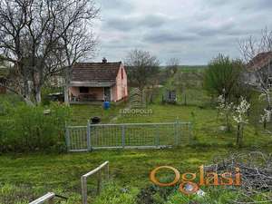 Lazarevo, Zrenjanin ID#7708