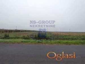 Plac na putu Sirig-Subotica.