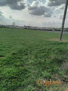 Surcin [etrovcic ID#1101