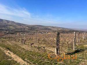 Plac - Beocin - 3241m2!