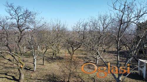 Cortanovci  gradjevinsko zemljiste 5300 m2 HITNO