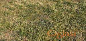 Odlican plac u Rumenci!