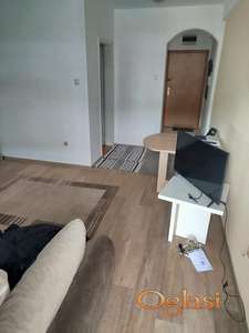 NAMEŠTEN JEDNOSOBAN STAN NA NOVOJ DETELINARI 300 EVRA