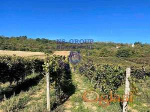 Sremski Karlovci , uknjižen