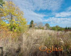 SREMSKA KAMENICA - ČARDAK - 853.00 m2