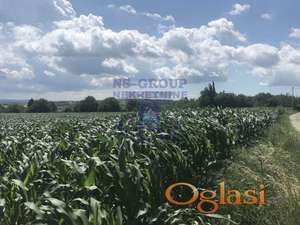 Odličan plac na Petrovaradinu