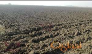 Srbobran, Razlevi, Poljoprivredno zemljište - 2,6 KJ - 14696 m2