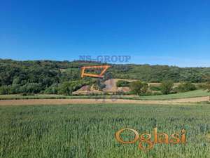 Odlican plac u Svilosu 3839m2