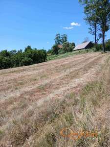 Veliko imanje sa kućom u Sjenici