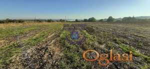 Plac 8110m2 Čerević