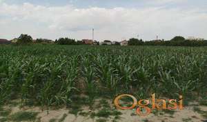 Plac - Veternik - 723m2!