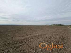 Poljoprivredno zemljiste u Rumenci 6161m2