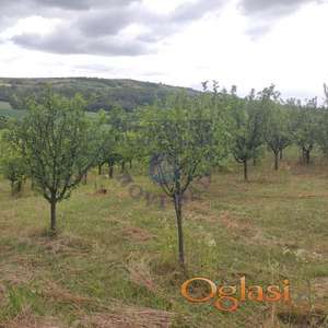 Odlican plac u Cerevicu