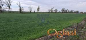 Poljoprivredno zemljište na izlazu iz Futoga