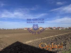 Fantastičan plac u Futogu! 1649m2