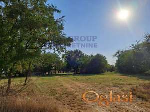 Jedinstvena prilika! Na prodaju autentičan salaš na Čeneju!