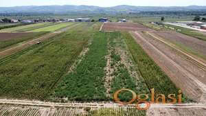 Futog industriska zona 1 Hektar poljoprivredno zemljiste HIT