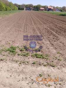 Plac na izlazu iz Rumenke