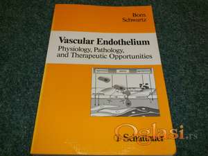 Vascular Endothelium: Physiology, Pathology and Therapeutic Opportunities