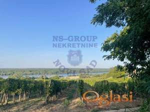 Poljoprivredno zemljiste u Karlovcima 4921m2