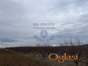 Odličan plac u Krušedolu!