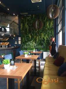 Lokal, Kneza Višeslava, 53,07m2 ID#1518