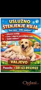 Usluzno stenjenje kuja svih rasa