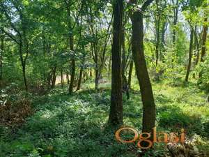 Odlican plac u Beocinu!