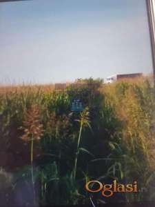 Gradjevinsko zemljiste - Izlaz prema BG