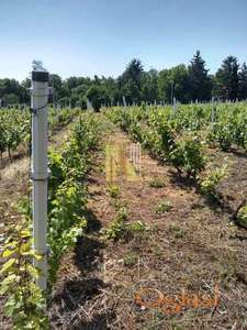 PRODAJA PLACA U GRAĐEVINSKOM PODRUČJU, PUCKAROŠ