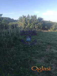 Odličan plac u Sremskim Karlovcima.