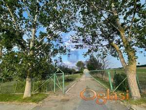 Odličan salaš na potezu pri izlazu iz Temerina!