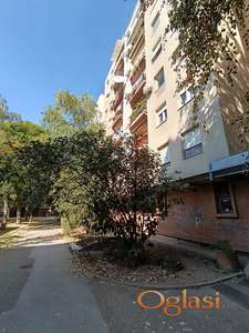 Troiposoban 91m Novi Sad Liman IV, za renoviranje TOP lokacija