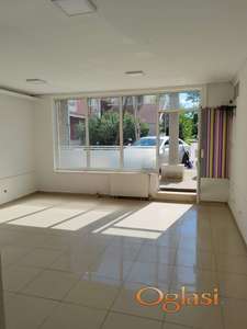 **LOKAL NA DETELINARI**