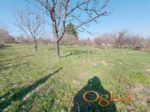 PETROVARADIN - ZANOŠ - 1656.00 m2