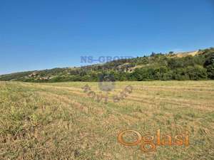 Odličan plac nadomak Sremskih Karlovaca, 25300m2