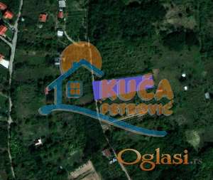 Plac na Paliluli, 1551 m2