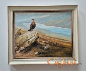 Ulje na platnu - Fazan, prelepa slika!