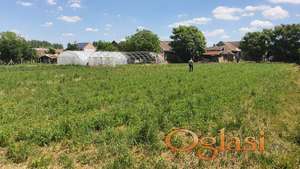 Vojvođanska kuća, ili velik plac za gradnju zgrade