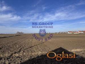 Fantastičan plac u Futogu!  500m2